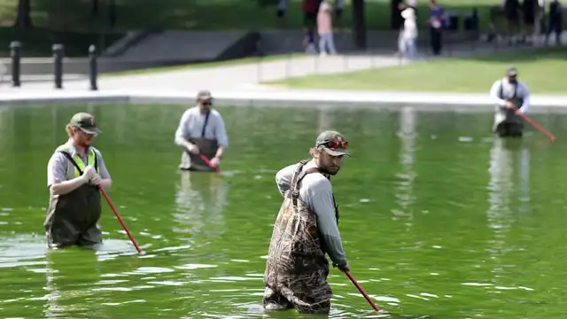 Thumbnail for Reflecting Pool in Washington D.C. Faces Unexpected Algae Growth After Renovation - Beginner level Politics exercise