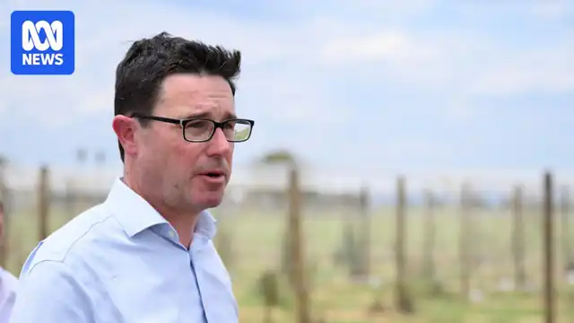 Thumbnail for Queensland Politician Calls on Australian Competition and Consumer Commission to Investigate Insurance Price Hikes - Beginner level Business exercise