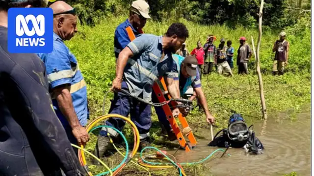 News image